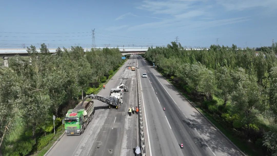 【項目負責(zé)人說】楊法衛(wèi)：實干篤定 擔(dān)當如鐵