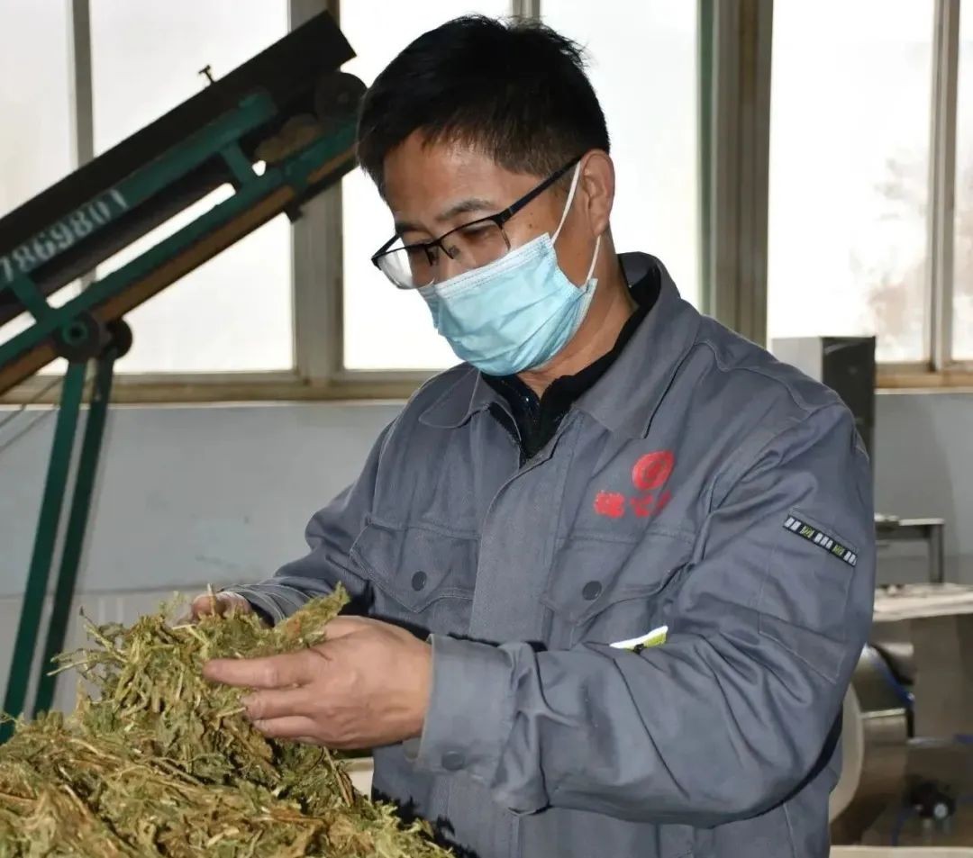 【向下扎根，向上生長(zhǎng)】孫吉民：20年堅(jiān)持做一件事