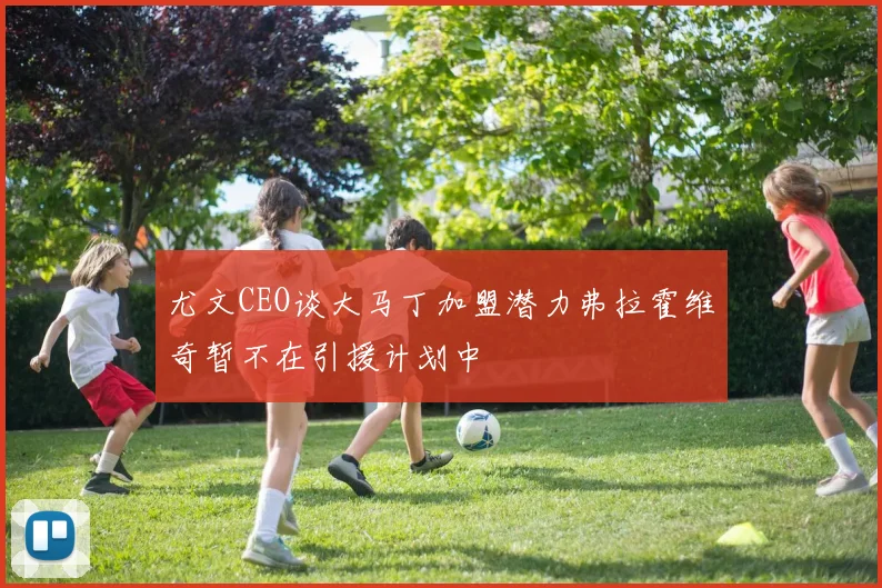 尤文CEO谈大马丁加盟潜力弗拉霍维奇暂不在引援计划中