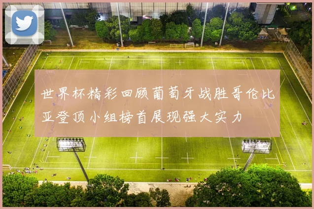 世界杯精彩回顾葡萄牙战胜哥伦比亚登顶小组榜首展现强大实力